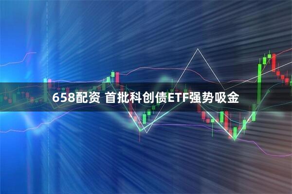 658配资 首批科创债ETF强势吸金
